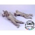 1/35 Soviet Maxim MG Machine Gun Crew, Summer-Winter 1943-45 (2 Figures)