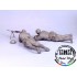 1/35 Soviet Degtiarev MG Machine Gun Crew Stalingrad - Summer 1943 (2 Figures)