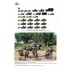 Military Vehicles Vol.87 - Panzergrenadiere German Armoured Infantry Today (English)