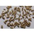 1/12 2.60mm Electronic Connectors (Brass Type)(10pcs)