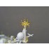 1/350 Chinese Navy Type 052DL Guided Missile Destroyer Upgrade Set for Border #BN002