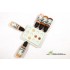 SDW Shading Colours - Skin Set (19ml x 5)