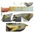 SDW Rust Set (19ml x 5)