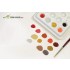 SDW Shading Colours - Railcars Weathering Set Vol.1 (19ml x 5)