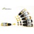 SDW Shading Colours - Paint Variance & Weathering Set (19ml x 5)