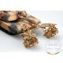 1/35 US M1A1/A2 Abrams 5-in-1