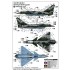 1/72 Pakistan J-10CE / Indian AF Rafale Fighter (2in1)