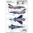 1/48 PLAAF J-10AY Vigorous Dragon [8.1 Aerobatic Team]