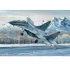 1/32 Russian MIG-29UB Fulcrum
