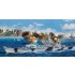 1/200 USS Iowa BB-61
