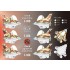 Decals for Egg Plane Mitsubishi XF-2A, F-16C, YF-16 Special Schemes