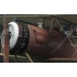 1/32 WWI Salmson 2-A2 "USAS" Reconnaissance Biplane 1917-1919