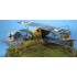1/32 WWI Albatros D.Va "The Bavarians" D.V/D.Va [Limited Edition]