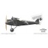 1/32 WWI Pfalz D.IIIa "Flying Circus" Part. 2