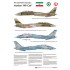 Decals for 1/32 The Last Active Tomcats - Iranian Alicat F-14A Tomcat