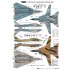 Decals for 1/32 The Last Active Tomcats - Iranian Alicat F-14A Tomcat