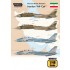 1/48 Grumman F-14A Tomcat Decals: The Last Active Tomcats - Iranian "Ali-Cat" for Tamiya