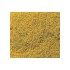 Ground Cover - Flowering Foliage #Yellow (coverage area = 72 in2 / 464 cm2)