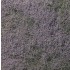 Ground Cover - Flowering Foliage #Purple (coverage area = 72 in2 / 464 cm2)