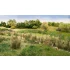 Ground Cover - Field Grass Natural Straw (glass length: 6.35cm, 8g/0.28 oz)