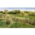 Ground Cover - Field Grass Medium Green (glass length: 6.35cm, 8g/0.28 oz)