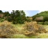 Landscape Accents Briar Patch Dry Brown (coverage area = 21.2 in3 / 347cm3)
