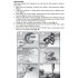 Trees Learning Kit: Making 18 Trees in Height from 1.91cm to 20.3cm