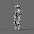1/12 Korean Knight (Kukunbok Jangsoo)