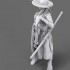 1/12 Korean Knight (Kukunbok Jangsoo)