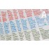 1/24 - 1/25 Thailand License Plates (A) Decal and PE