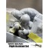 1/32 Focke-Wulf Ta 152 H-1 Flight Assistant Set (2 figures)