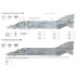 1/48 British F-4J Phantom II Marking Set Vol.1 (2pcs) for #SWS48-04