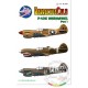 1/32 P-40K Warhawks Part 1 Decals