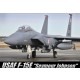 1/48 McDonnell F-15E "Seymour Johnson" with 2 Figures & Armaments