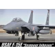 1/48 McDonnell F-15E "Seymour Johnson" with 2 Figures & Armaments
