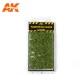 Platane Foliage Summer (Tufts)