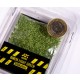 1/72 28mm Scale Birch Light Green Leaves (7gr)
