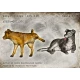 1/35 Mongrel Dogs Vol.1