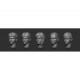 1/35 Female Heads #Set 5