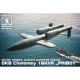 1/48 OKB Chelomey 16KhA PRIBOY missile