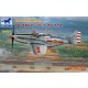 1/48 PLA P-51D/K Mustang 1949 Parade