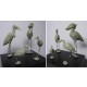 1/32 Wild Life - Birds Set Vol.1 (4pcs)