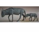 1/35 (54mm Scale) African GNU