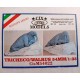 1/35, 54mm Scale Walrus w/Iceberg