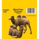 1/48 Bactrian Camel (2pcs)