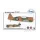 1/48 P-64/ NA-68 ''US Fighter'' Full resin kit