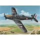 1/72 German Arado Ar 96B "Captured & Post War"