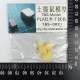 1/35 PLA Infrared Countermeasure (IRCM)