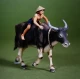 1/35 (54mm) Water Buffalo and Boy