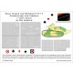 1/16 Renault FT-17 Camouflage + Insignia Paint Masks